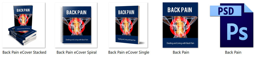 Back Pain PLR Report eCover Graphics